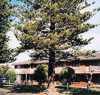 Eastern Beach Holiday Units - Goulburn Accommodation