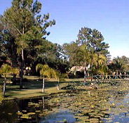 Twin Lakes Hotel - Goulburn Accommodation