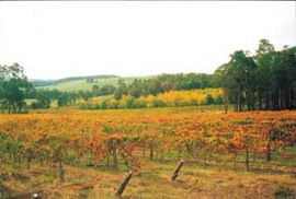 Glen Mervyn WA Goulburn Accommodation