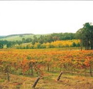 Byramgou Park - Goulburn Accommodation