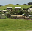 Ace Hi Riding Ranch - Goulburn Accommodation