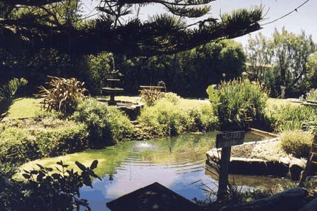 Bayside Gardens - Goulburn Accommodation