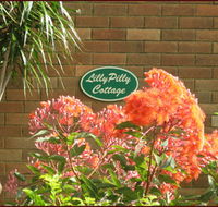 Lillypilly - Goulburn Accommodation