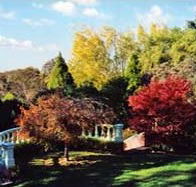 Edgelinks Bed And Breakfast - Goulburn Accommodation