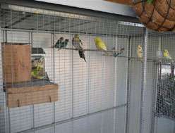 Yarragon Motel - Goulburn Accommodation 1