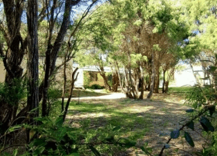 Peaceful Bay Chalets - Goulburn Accommodation 4