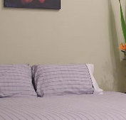 Stingo Hotel - Goulburn Accommodation