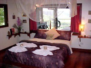 Daintree Cloud 9 - Goulburn Accommodation 0