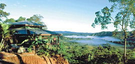 Daintree Cloud 9 - Goulburn Accommodation 1