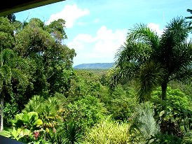 Daintree Manor - Goulburn Accommodation 3