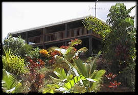 Daintree Manor - Goulburn Accommodation 5