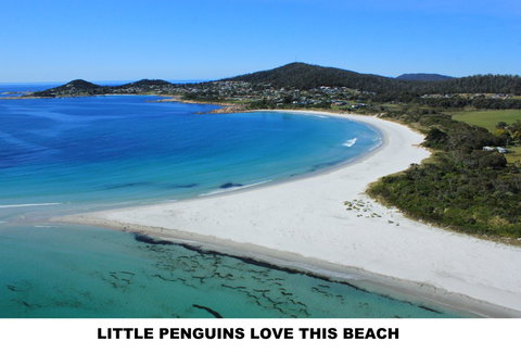 Diamond Island Resort - Goulburn Accommodation 5