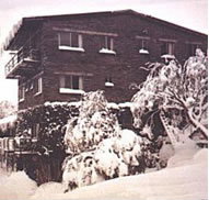 Elk at Falls - Goulburn Accommodation