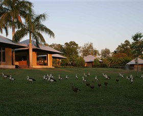 Feathers Sanctuary - Goulburn Accommodation 0