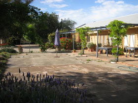 Peechabella Vineyards Bed & Breakfast - Goulburn Accommodation 0