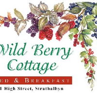 Wild Berry Cottage - Goulburn Accommodation