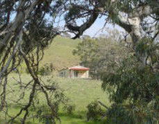 Saunders Gorge Sanctuary - Hideaway Cottage - Goulburn Accommodation 1