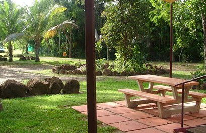 Virginia Heliconia Farm - Goulburn Accommodation 0