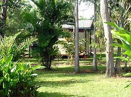 Virginia Heliconia Farm - Goulburn Accommodation 3