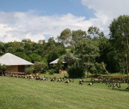 Feathers Sanctuary - Goulburn Accommodation 3