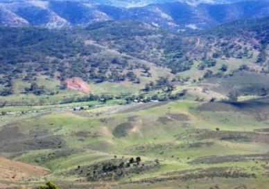 Old Willows Country Estate - Goulburn Accommodation 1