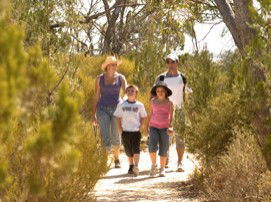 Long Island Caravan Park Cabins - Goulburn Accommodation 0