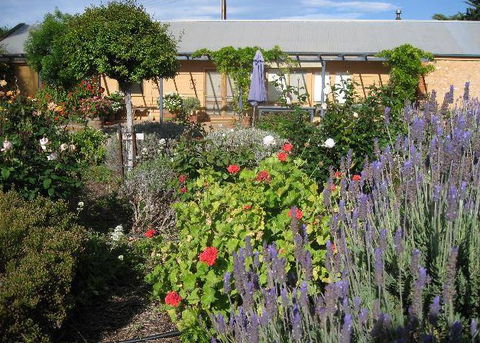Peechabella Vineyards Bed & Breakfast - Goulburn Accommodation 3