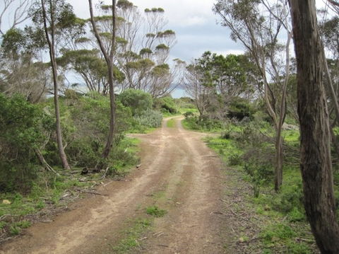 Wallaby Beach House - Goulburn Accommodation 3