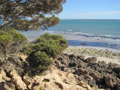 Wallaby Beach House - Goulburn Accommodation 4