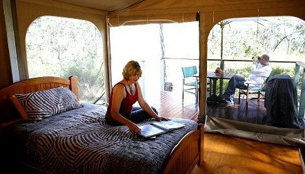 Jabiru Safari Lodge At Mareeba Wetlands - Goulburn Accommodation 2