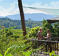 Rose Gums Wilderness Retreat - Goulburn Accommodation