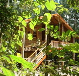 Rivers Edge Rainforest Retreat - Goulburn Accommodation