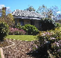 Camellia Cottage At Maple Hill - Goulburn Accommodation