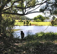 Newry Park Cottage - Goulburn Accommodation