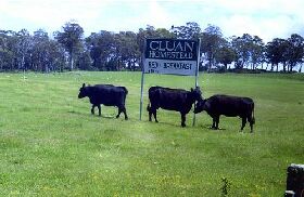 Goulburn Accommodation