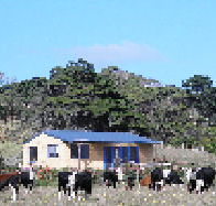 Marrawah Beach House - Goulburn Accommodation