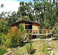 Southern Forest Accommodation - Goulburn Accommodation