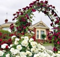Golden Embers Apartments and B and B - Goulburn Accommodation