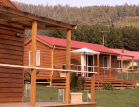 Maydena Country Cabins Accommodation & Alpaca Stud - Goulburn Accommodation 0