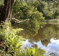 Weldborough Camping Ground - Goulburn Accommodation