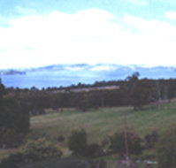 Waterview Gardens - Goulburn Accommodation