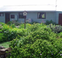Engadine Cottage - Goulburn Accommodation