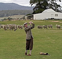 Park House Accommodation - Goulburn Accommodation