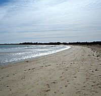 Greens Beach Caravan Park - Goulburn Accommodation