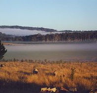 Fonthill - Goulburn Accommodation