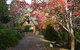 Woodbridge Hill Cottage - thumb 0