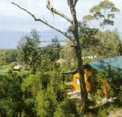 Partridge Farm - Goulburn Accommodation