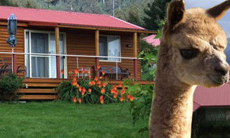 Maydena Country Cabins Accommodation & Alpaca Stud - Goulburn Accommodation 1