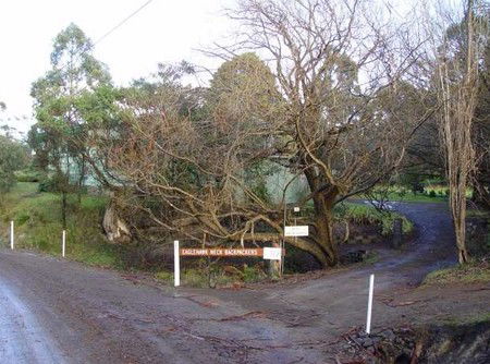 Eaglehawk Neck Backpackers - Goulburn Accommodation 1