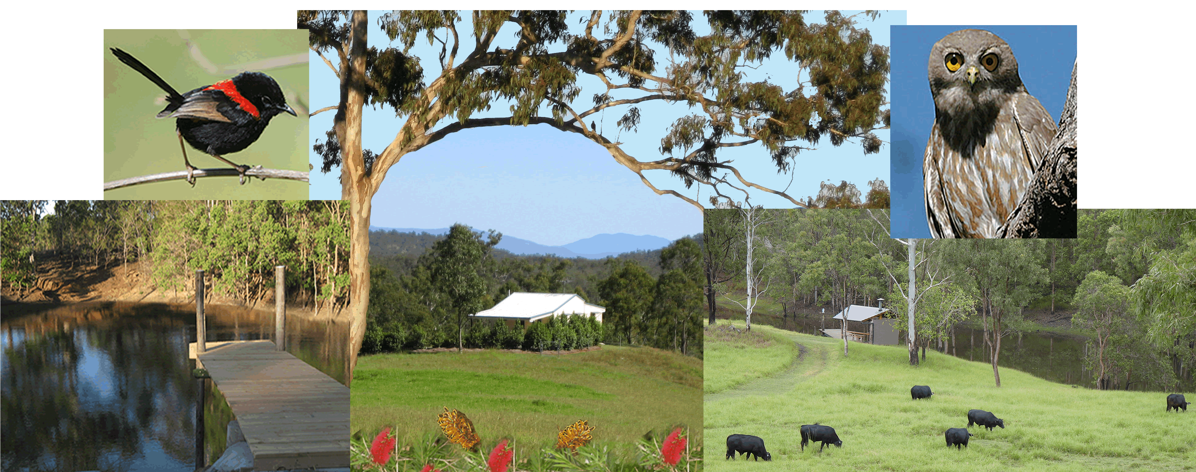 Barking Owl Retreat - Goulburn Accommodation